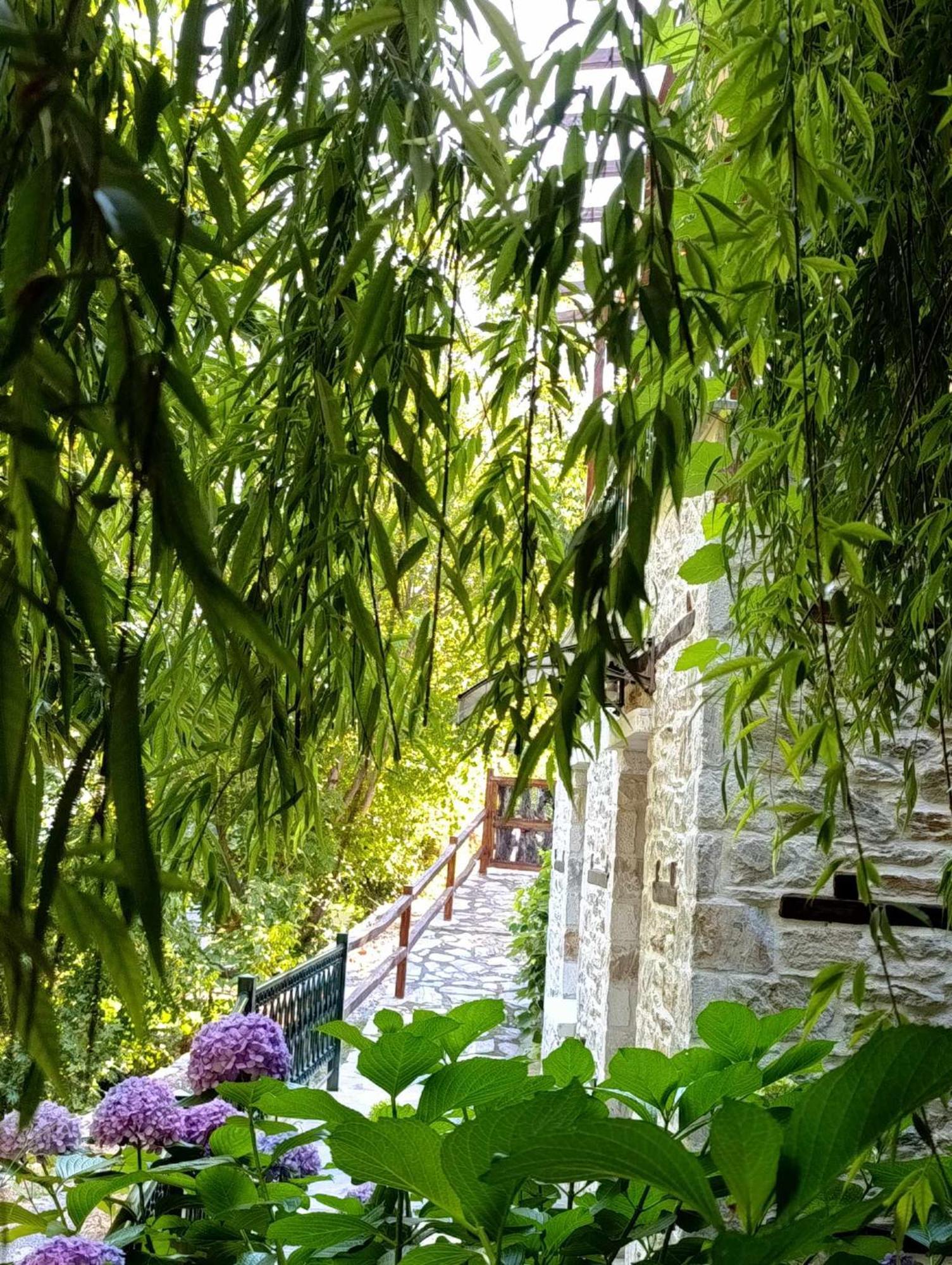 Μountain Whispers Apartment Mouresi Ngoại thất bức ảnh