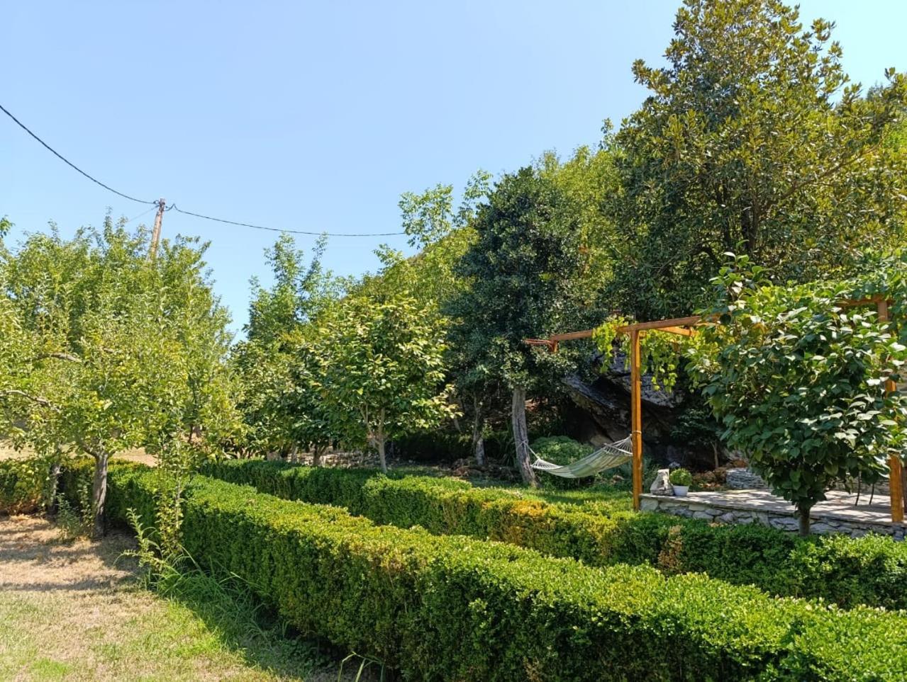Μountain Whispers Apartment Mouresi Ngoại thất bức ảnh